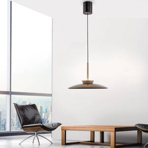PURE LED závesná lampa E-Moon bronzové sklo/hliník Ø 50 cm CCT