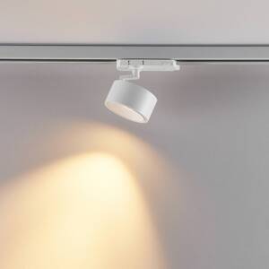 Molto Luce LED 3-fázový reflektor Magis, biely, 830