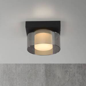 Paul Neuhaus LED stropné svietidlo Rika, čierne, dĺžka 15 cm
