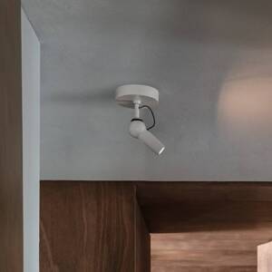 kdln stropné LED svetlo Bird, biele, Ø 11 cm, kov