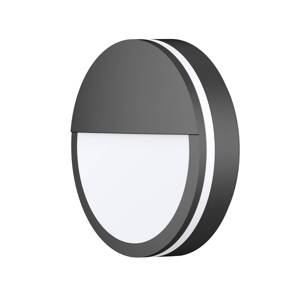 LED vonkajšie nástenné svietidlo CMD 9085, antracitová farba, Ø 25 cm, šošovka