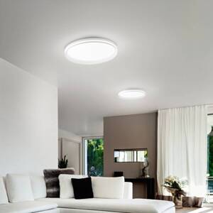 Stropné LED svetlo Isy, biele, Ø 55 cm, kov, CCT, stmievateľné