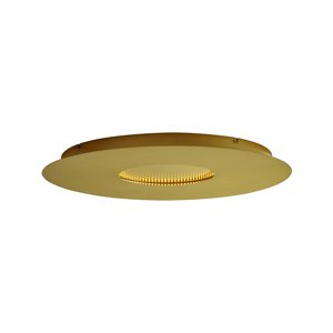 Moderné stropné svietidlo zlaté 60 cm vrátane LED s 3-stupňovým stmievaním - Morning