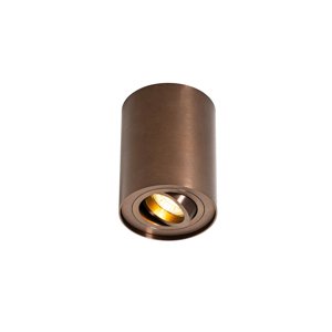 Inteligentný stropný reflektor tmavý bronz nastaviteľný vrátane Wifi GU10 50mm - Rondoo Up